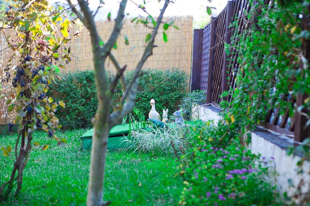 Casa 3* Bazna
